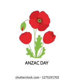 ANZAC DAY. Bouquet of poppy flowers. Vector illustration