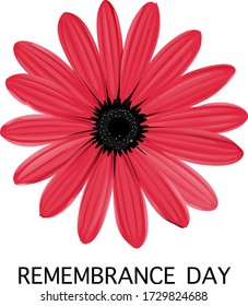 Anzac day on sign on white background illustration