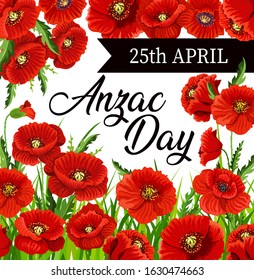 Anzac Day poppies vector design of Australia and New Zealand army soldiers day. Red flowers with black memorial ribbon, World War veterans national memorial anniversary