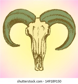 Aoudad skull, vector background