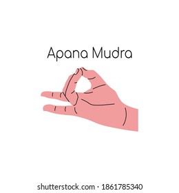 Apana mudra. Yoga hand gesture. Meditation. Vector illustration in flat minimalism design. Isolated on a white background