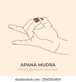 APANA MUDRA. YOGA. Yogic hand gesture. Yoga hand mudra.