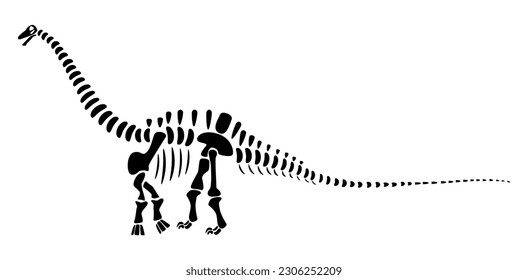 Apatosaurus skeleton . Silhouette dinosaurs . Side view . Vector .