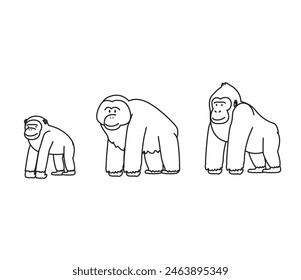 Ape Cartoon Minimal Orangutan Chimpanzee Gorilla Doodle Character