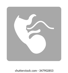 Ape Embryo vector icon. Style is flat rounded square button, white and silver colors, white background.