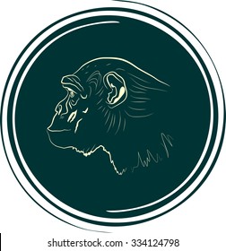 ape head on spiral button