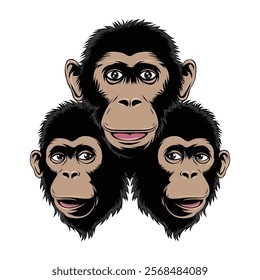 Ape head vector, three ape head vector art illustration	