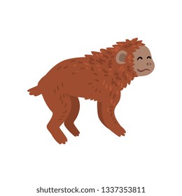 Ape, Monkey Animal Progress Stage, Evolutionary Process Vector Illustration