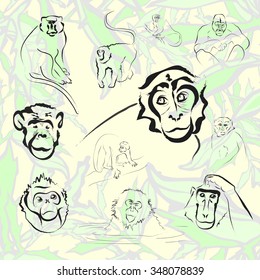 Ape and Monkey collection. Vector illustration
