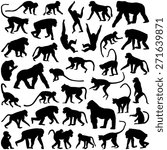 Ape and Monkey collection - vector silhouette
