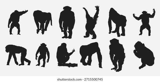 ape silhouette set vector illustration