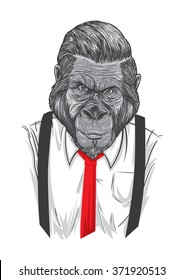 An ape wearing white shirt,red tie and suspender.  