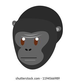 Ape wild animal