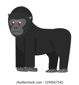 Ape wild animal