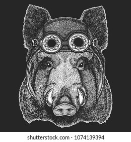 Aper, boar, hog Cool animal wearing aviator, motorcycle, biker helmet. Hand drawn image for t-shirt, tattoo emblem badge logo patch