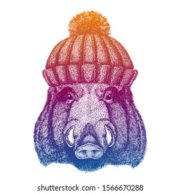 Aper, boar, hog, pig. Ski, skier animal wearing woolen knitted hat. Christmas time. Cartoon character for little children. Kids print for tee