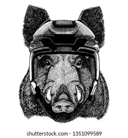 Aper, boar, hog, wild boar, animal wearing hockey helmet. Hand drawn image of lion for tattoo, t-shirt, emblem, badge, logo, patch.