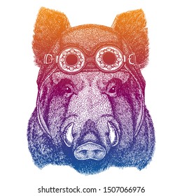 Aper, boar, hog, wild boar, pig wearing vintage aviator leather helmet. Image in retro style. Flying club or motorcycle biker emblem. Vector illustration, print for tee shirt, badge logo patch