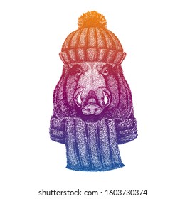 Aper, boar, hog, wild boar. Ski, skier animal wearing woolen knitted hat. Christmas time. Cartoon character for little children. Kids print for shirts. Nursery decor.