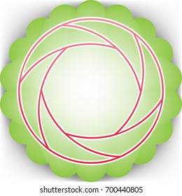 Aperture or Camera objective linear icon. Vector. Pinkish icon with white contour on green background which similar to flower.