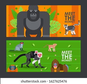 Apes and monkeys in flat style banner, vector illustration. Zoo invitation ticket, jingle animals, primate cartoon characters. Gorilla, lemur, ice monkey and mandrill. Exotic apes, African animals zoo