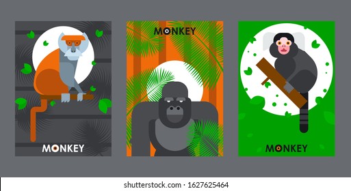 Apes and monkeys in flat style banners, vector illustration. African zoo animals, jungle safari, exotic wildlife. Zoo invitation banner, brochure cover template. Tropical ape gorilla, jungle animals