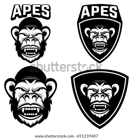 apes. Set of emblems templates with monkey head. Design element for logo, label, emblem, sign, badge. Vector illustration