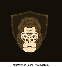 Apes vector illustration