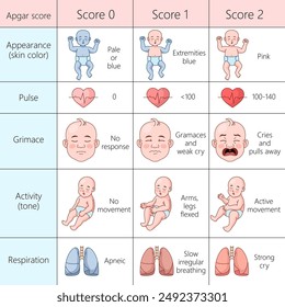 Apgar score chart evaluating the health of newborns, appearance, pulse, grimace, activity, and respiration diagram hand drawn schematic vector illustration. Medical science educational illustration