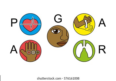 Apgar test icons set for maternity hospital research