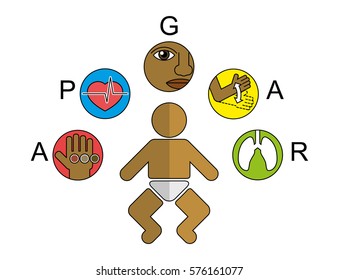 Apgar test icons set for maternity hospital research