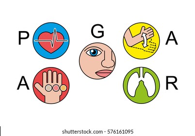 Apgar test icons set for maternity hospital research. System for rapid assessment of the newborn condition