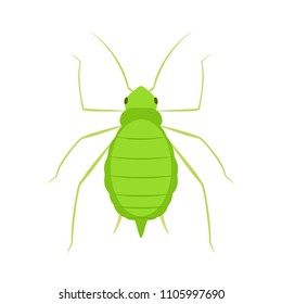 Aphid icon . Lawn Pest Control Clipart image isolated on white background