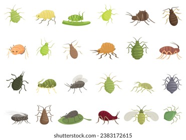 Aphid icons set cartoon vector. Insect summer nature. Root garden plant