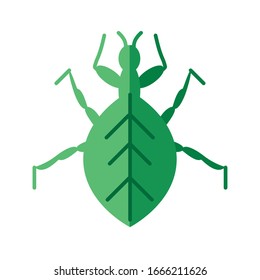 aphid insect over white background, flat style icon, vector illustration