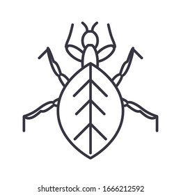 aphid insect over white background, line detail style icon, vector illustration