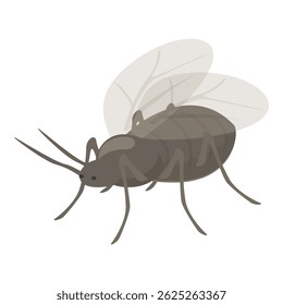 Aphid insect is spreading its wings getting ready to fly