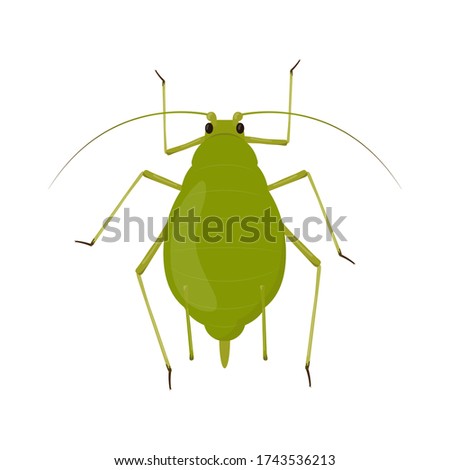 Aphid isolated on white background. Insect pest illustration