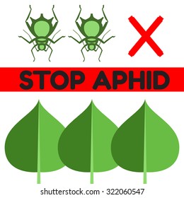 aphid pest vector illustration - set of household pests in pure style