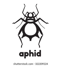 aphid pest vector illustration - set of household pests in pure style
