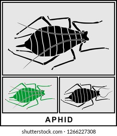 Aphid. Set of pictures