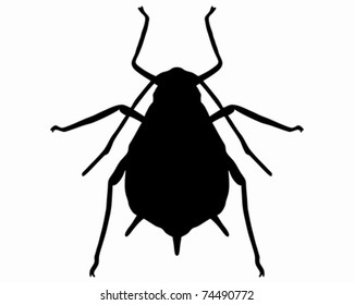 Aphid Silhouette