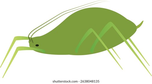 Aphids are small sap sucking insects in the family Aphididae. Common names include greenfly and blackfly, although individuals within a species can vary widely in color. 