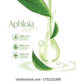 Aphloia Theiformis ,Malagasy Tea Moisture Essence Natural Skin Care Cosmetic.