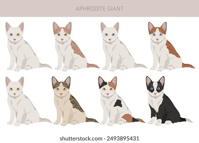 Afrodita gigante. Clipart de gatos de Chipre. Conjunto de todos los colores de la capa.  Todas las razas de gatos características infografía. Ilustración vectorial