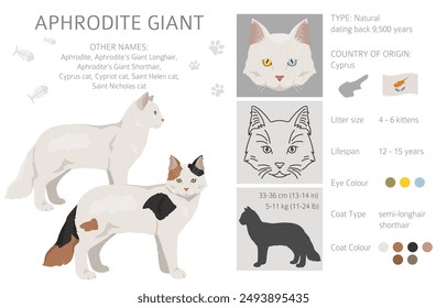 Afrodita gigante. Clipart de gatos de Chipre. Conjunto de todos los colores de la capa.  Todas las razas de gatos características infografía. Ilustración vectorial