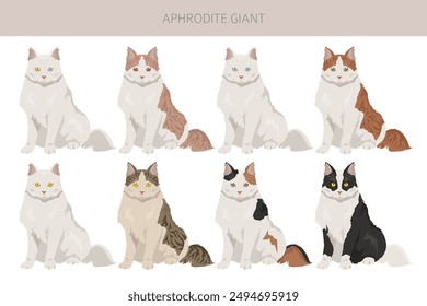 Afrodita gigante. Clipart de gatos de Chipre. Conjunto de todos los colores de la capa.  Todas las razas de gatos características infografía. Ilustración vectorial