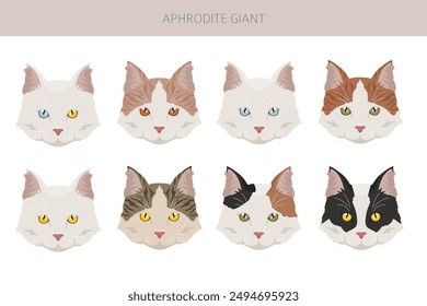 Afrodita gigante. Clipart de gatos de Chipre. Conjunto de todos los colores de la capa.  Todas las razas de gatos características infografía. Ilustración vectorial