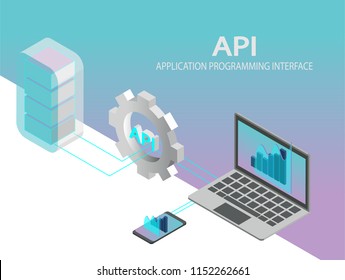 API Application Programming Interface Concept Vector. Isometric IT Illustration.