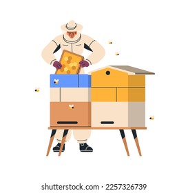 Apiarist at hive, holding honeycomb. Beekeeper in suit hat at beehive with honey comb. Bee keeper worker at apiary. Beekeeping apiculture concept. Flat vector illustration isolated on white background